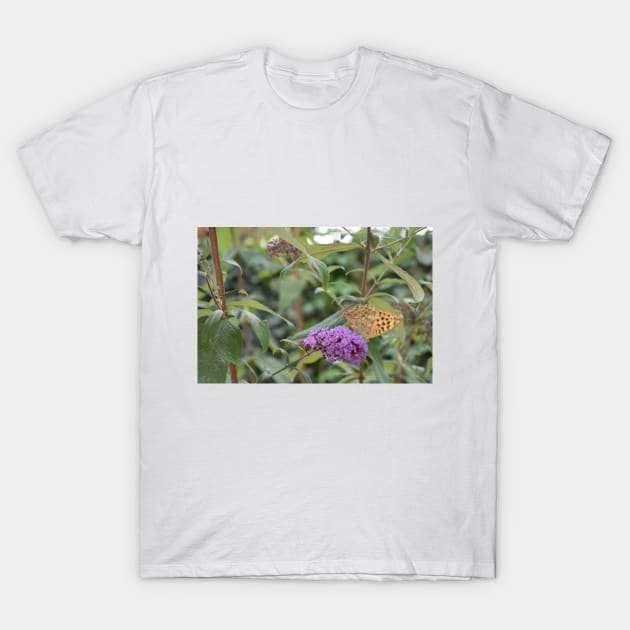 A beautiful butterfly perched on a purple flower T-Shirt by Sidni